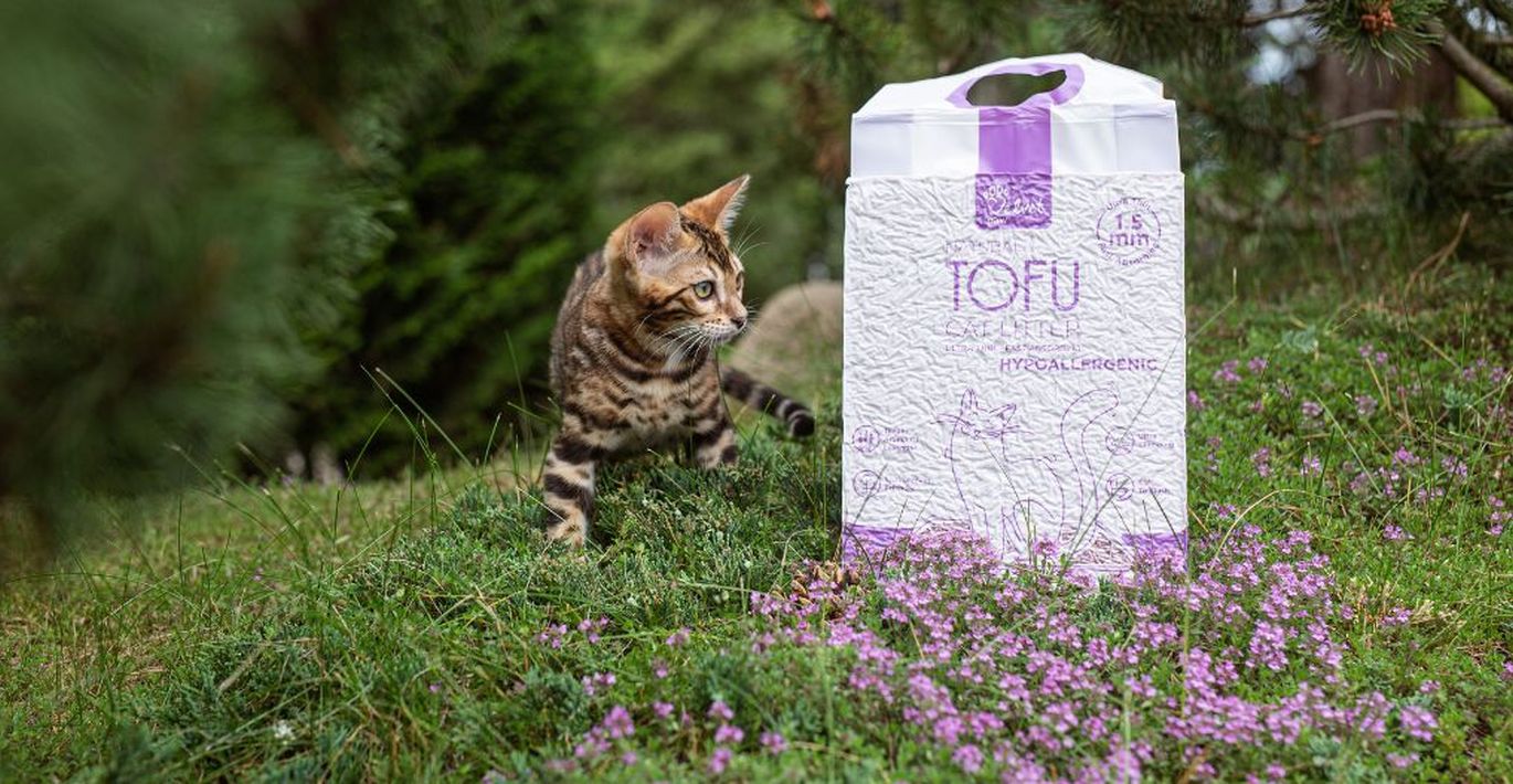 Margas katinas tupi pavasarinėje žolėje šalia jo pakuotė Tofu kraiko su levandų aromatu